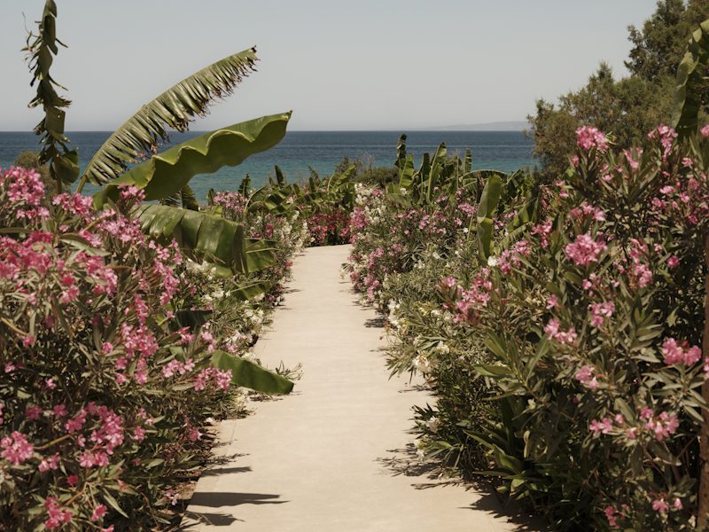 Tropical garden path leading to the beach at Banana Baya Zakynthos with pink flowers and sea view