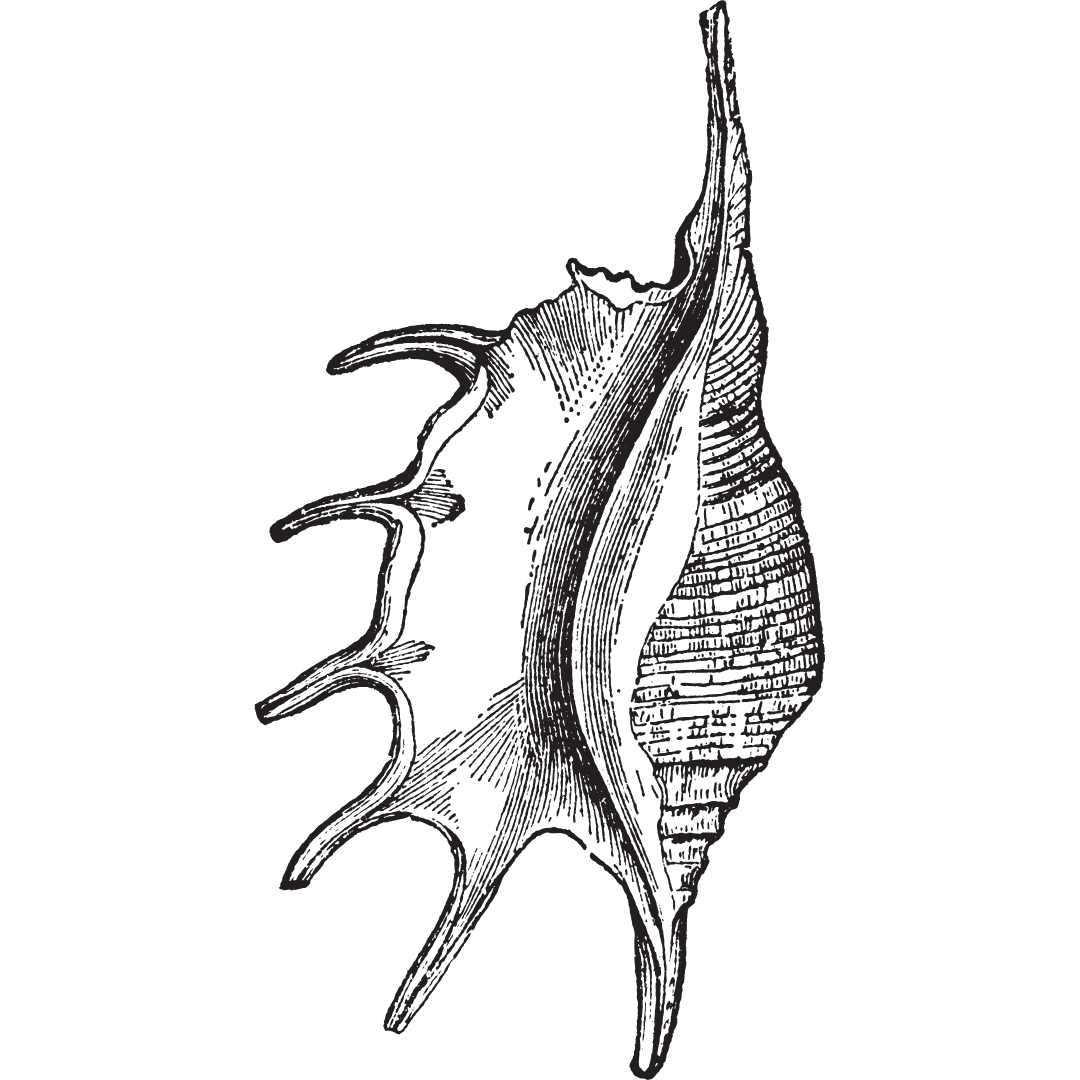 Coastal dining spot under a thatched roof, near the Ionian Sea