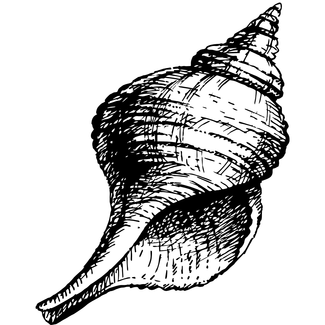 Eco-inspired restaurant patio with view to the sea