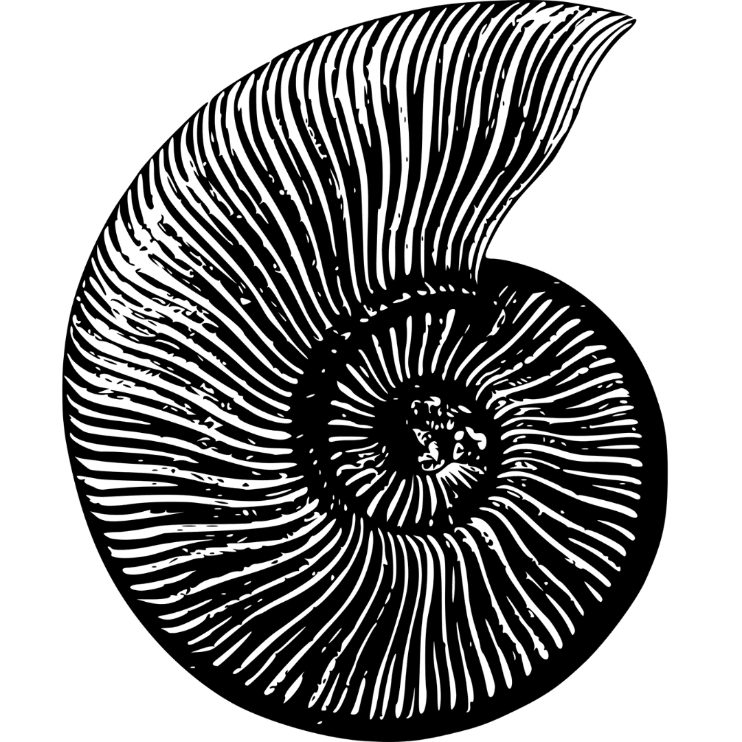 Seaside restaurant terrace with natural shade and wooden furniture